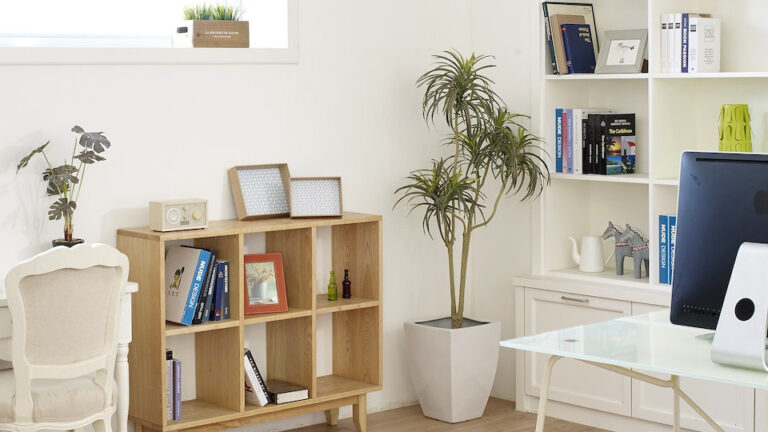 友谊家具中式实木书柜，古朴典雅，传承经典